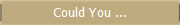 Could You ...